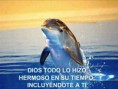 /album/fotogaleria-inicio1/a551966-257349037701491-1683381209-n-jpg/